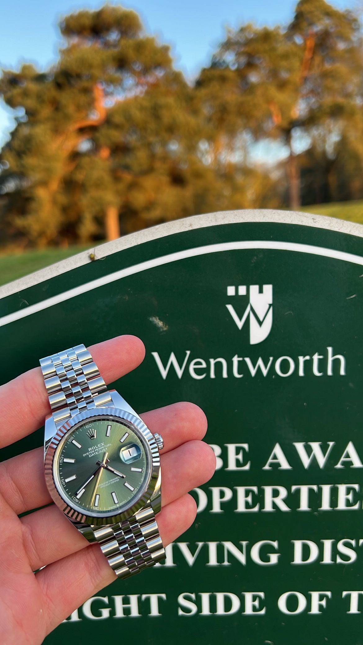 ROLEX DATEJUST 41
