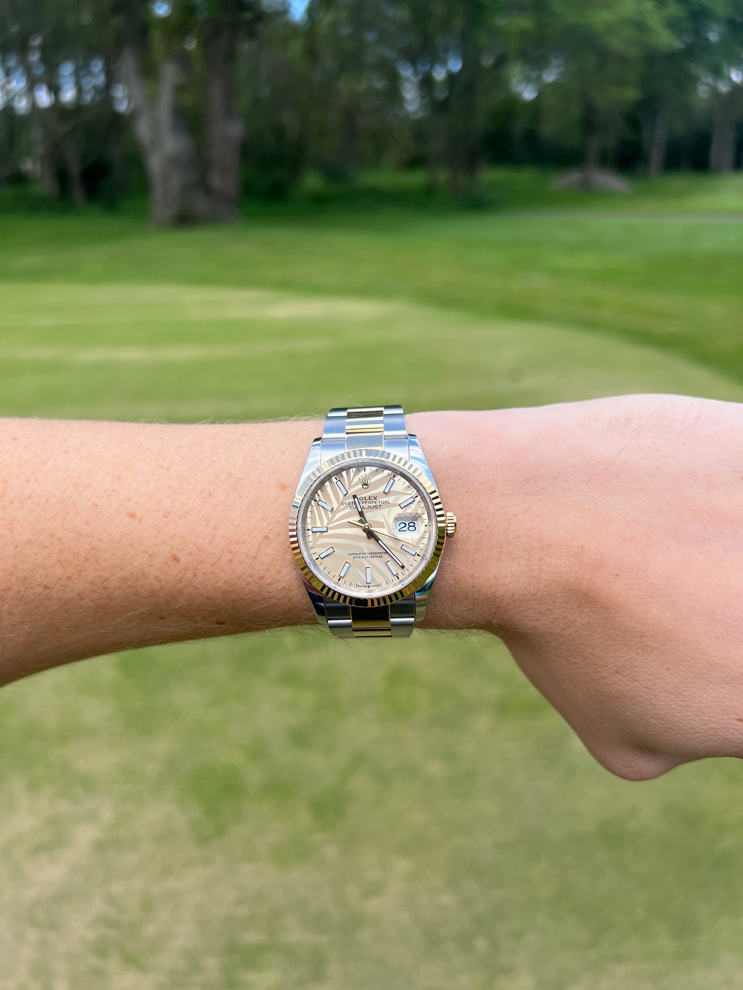 ROLEX DATEJUST 36